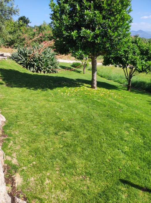 Quinta da Portela — 15/20